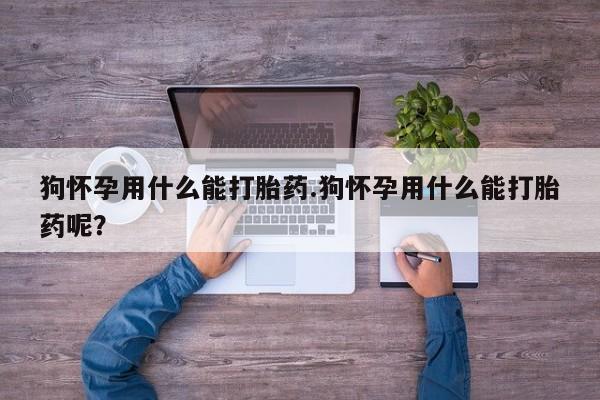 堕胎药购买联系狗怀孕用什么能打胎药.狗怀孕用什么能打胎药呢？