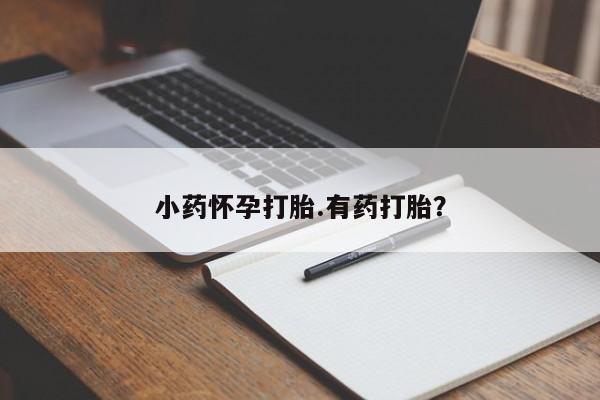 堕胎药购买联系小药怀孕打胎.有药打胎？