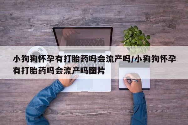 堕胎药购买联系小狗狗怀孕有打胎药吗会流产吗/小狗狗怀孕有打胎药吗会流产吗图片