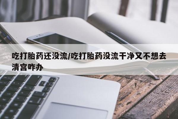 堕胎药购买联系吃打胎药还没流/吃打胎药没流干净又不想去清宫咋办