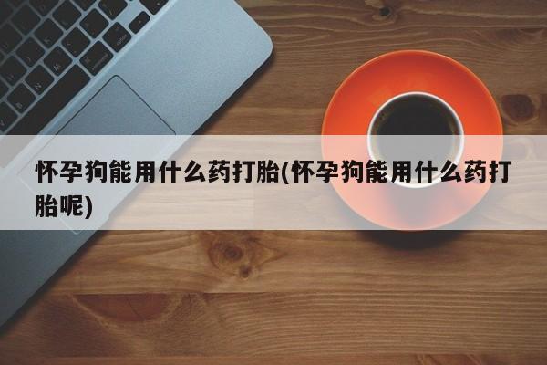 堕胎药购买联系怀孕狗能用什么药打胎(怀孕狗能用什么药打胎呢)